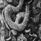 RUDE RIDERS SNAKE scarf 
